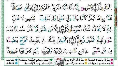 (مكررة) حفظ سورة النمل (02) للقارئ الشيخ محمد سايد