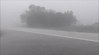 8 28 16 Hail and Wind McLeod County Mn