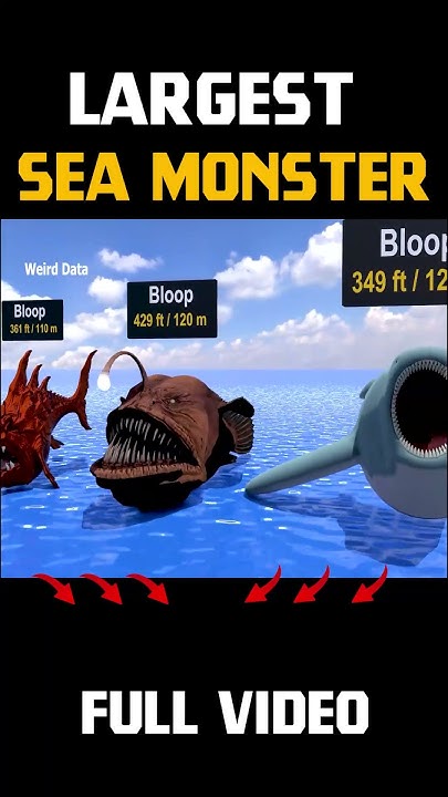 Biggest Bloop Size Comparison | Sea Monster - YouTube