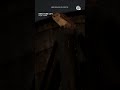 Barn owl screeches at onlookers in Manhattan