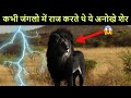 क्या आज भी जिंदा है ये प्राचीन शेर ? Proves of 5 extinct animals.