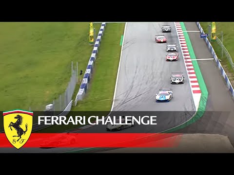 Video: Ferrari Challenge Live-Chat Diese Woche