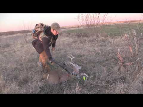 Talon's First Buck With A Bow