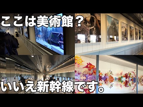 【2020年12月に運行終了】世界最速の芸術観賞・現美新幹線とき号に乗ってきた