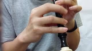 詩歌本78直笛Recorder(你在地上所有行徑,何其仁慈、美麗!)