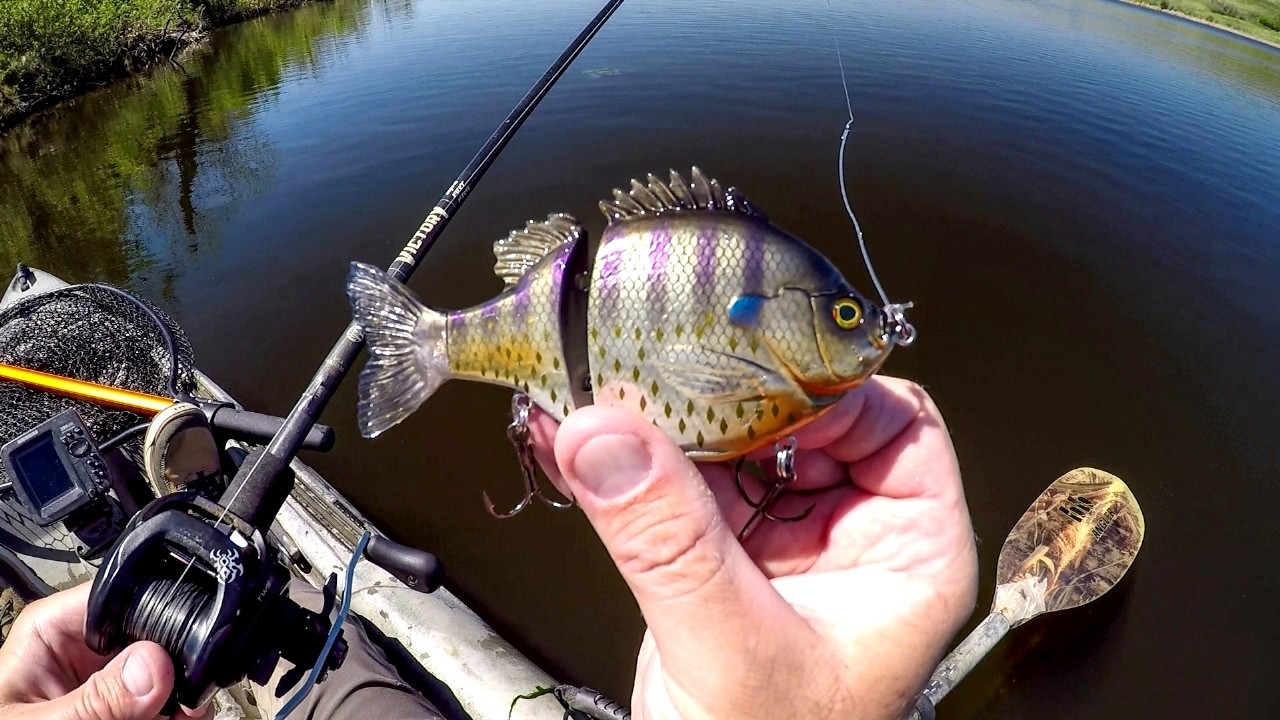 daiwa air fishing pole Not only did Andy lift the trophy  he's also netted himself our flagship  AIR Z Pro pole!  #daiwapfmasters #polefishingmasters