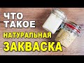 «Что такое натуральная закваска» – разбираемся в азах выпечки домашнего бездрожжевого хлеба