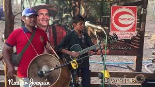 Nasser Joaquín en Vainas de Oro