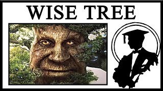 The Original Wise Mystical Tree Is Ancient 
