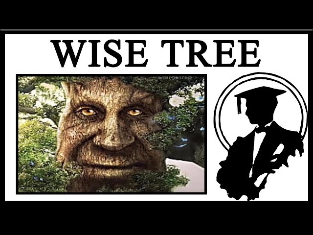 Where Did The Photo Of The 'Wise Mystical Tree' Come From And What Does It  Mean?