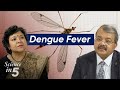 Whos science in 5  dengue fever  28 march 2024