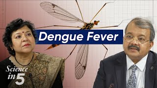 WHO’s Science in 5 : Dengue Fever - 28 March 2024