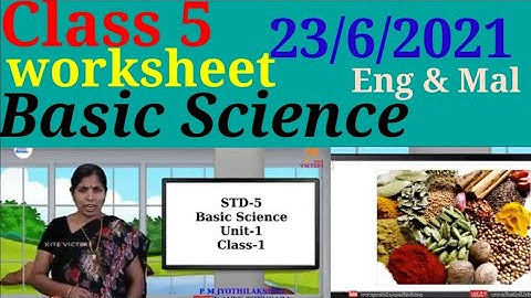 Class 5 basic science 23/6/2021 Worksheet|STD 5 B.S worksheet 23/6/2021@Educutz