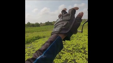 câu cá lóc U Minh Thượng bằng nhái hơi FT một mắt lưỡi độ #caucaloc