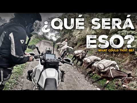 Este es EL MAYOR PELIGRO de COLOMBIA (S24/E05) VUELTA al MUNDO en MOTO con CHARLY SINEWAN