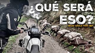 This is COLOMBIA'S GREATEST DANGER (S24/E05) AROUND THE WORLD on a MOTORCYCLE with CHARLY SINEWAN