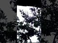 #shortsപ്രകൃതിയുടെ സൗന്ദര്യം | Beauty of nature in rain#nature #rain #naturelovers