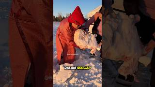 Cara Orang Mongol Bertahan di Musim Dingin Extrem #faktaunik #shortsviral