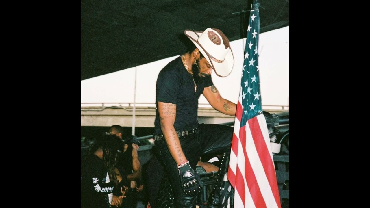 (FREE) JPEGMAFIA x Danny Brown Type beat 