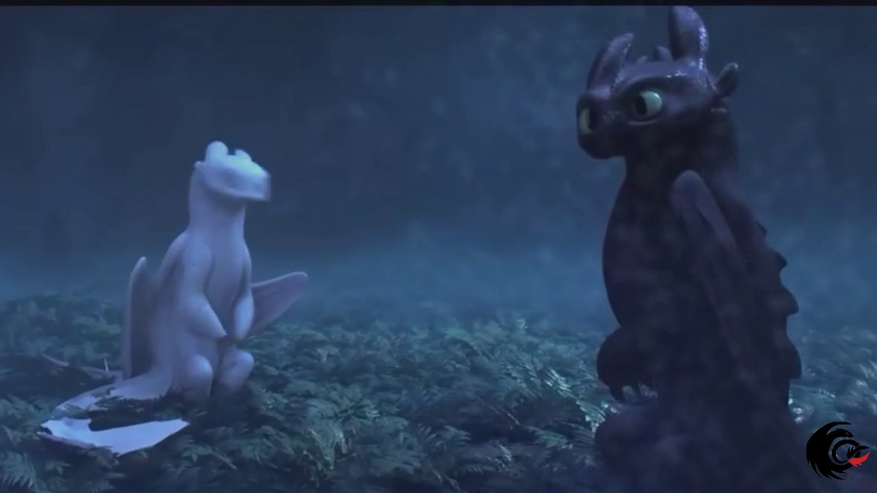 Toothless And Light Fury 