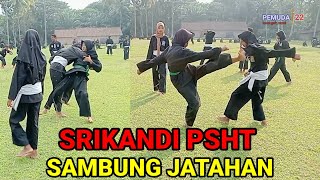 sambung jatahan Srikandi PSHT