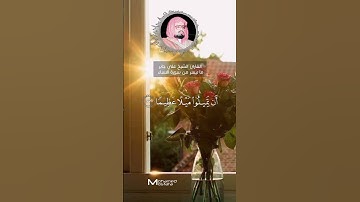 ما تيسر من #سورة_النساء القارئ الشيخ #علي_جابر