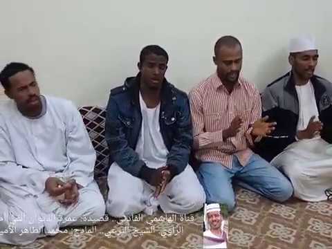 عمرة الديوان ألفي أم قلل محمد الطاهر الأمين