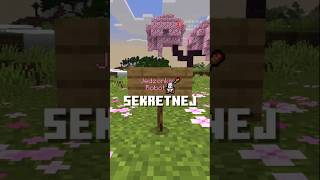 Sekretna Funkcja W Minecraft  Jak Zrobi Emotki W Minecraft shorts minecraft viral