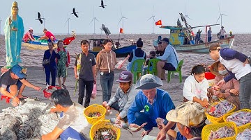 Ngư Dân Trúng Mánh Cá Khoai Chia Tiền Triệu Ở Nhà Mát Bạc Liêu║Hải Sản Tươi Sống Khu Lấn Biển