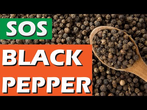 Sos Black Pepper Lada Hitam 2020 Black Pepper Sauce Youtube