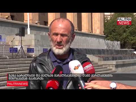 ზაზა სარალიძემ და მალხაზ მაჩალიკაშვილმა ღამე პარლამენტის შენობასთან გაატარეს