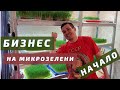 Бизнес на микрозелени. Начало