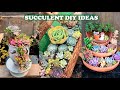 22 Succulent DIY Ideas| 22 Ý tưởng trang trí sen đá tuyệt đẹp| 多肉植物| 다육이들 | Suculentas