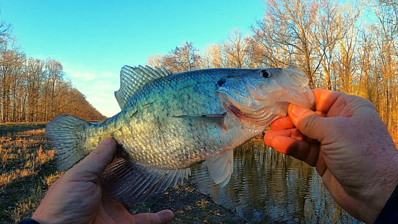 February Crappie Fishing - Bank fishing with jigs and bobbers