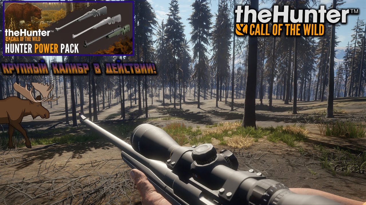 Все DLS В the Hunter. The Hunter Call of the Wild DLC купить.