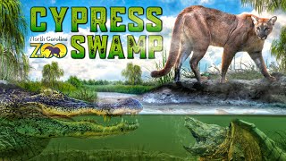 Zoo Tours: Cypress Swamp | North Carolina Zoo