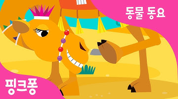 큰 혹 낙타 | 낙타송 | 동물 동요 | 핑크퐁! 인기동요