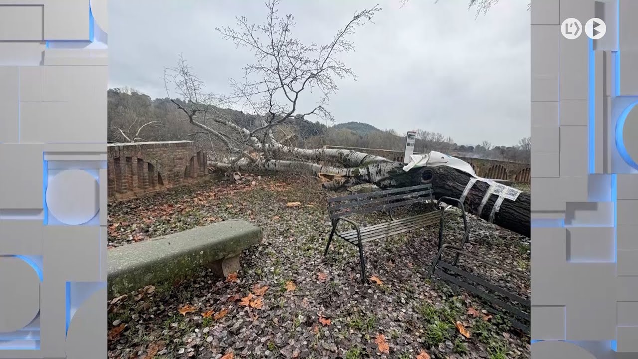 Cap de setmana de neu, pluja i vent al Berguedà