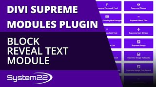 Divi Theme Supreme Block Reveal Text Module 👈