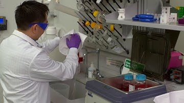 Tissue Culture Series #3: Cell Passaging