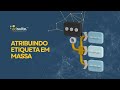 Adsuite - Atribuindo Etiqueta em massa