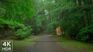 4K Japan Binaural Immersive Walk | Emerald Green & Rain: Wandering an Old Moss Temple-Shrine