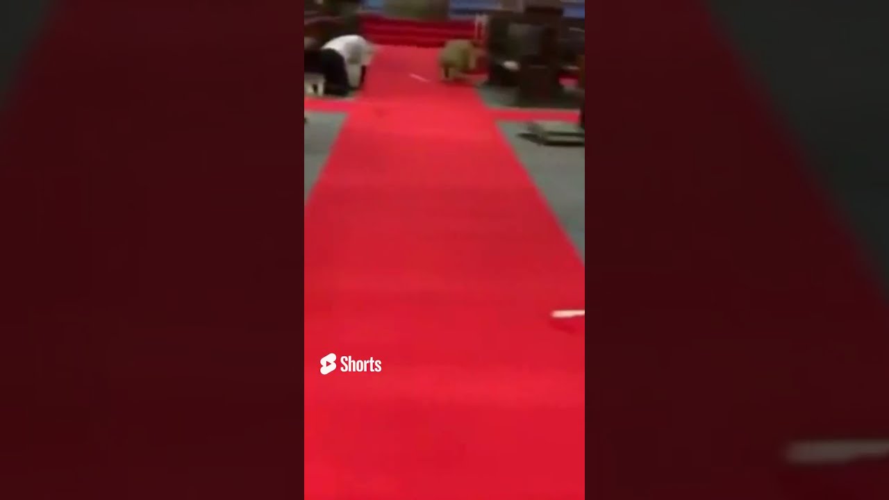 Plain And Mottled Wall To Wall Carpets