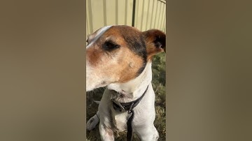 Perfect loop #funny #loop #satisfyingloop #endlessloop #perfectloop