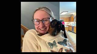 Petland Furry Family Members (15s) 🐾❤️ by Petland Knoxville 31,271 views 9 months ago 16 seconds