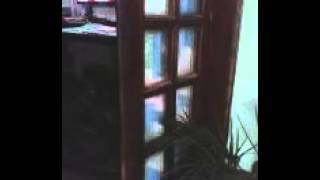 O Gordinho Gostoso Dançando Kkk