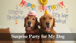 видео: Сюрприз для моей собаки на день рождения 🎂 | Уютное празднование, прогулка по тропе и домашний уж... картинка: Сюрприз для моей собаки на день рождения 🎂 | Уютное празднование, прогулка по тропе и домашний уж...