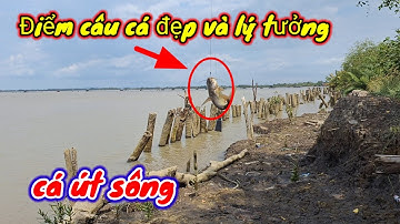 câu cá út sông tự nhiên Cần Giờ, điểm câu đẹp và  lý tưởng cho cần thủ 2024