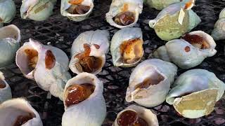 How To Burn Clams
