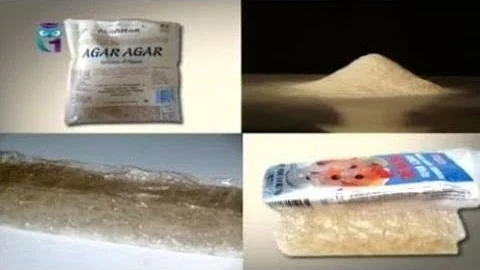 Агар-агар